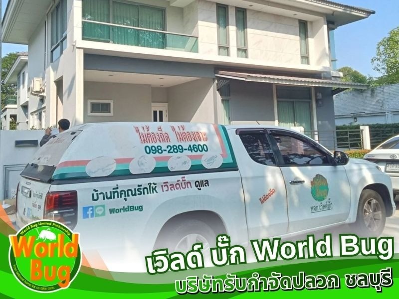 บริษัทฉีดปลวก