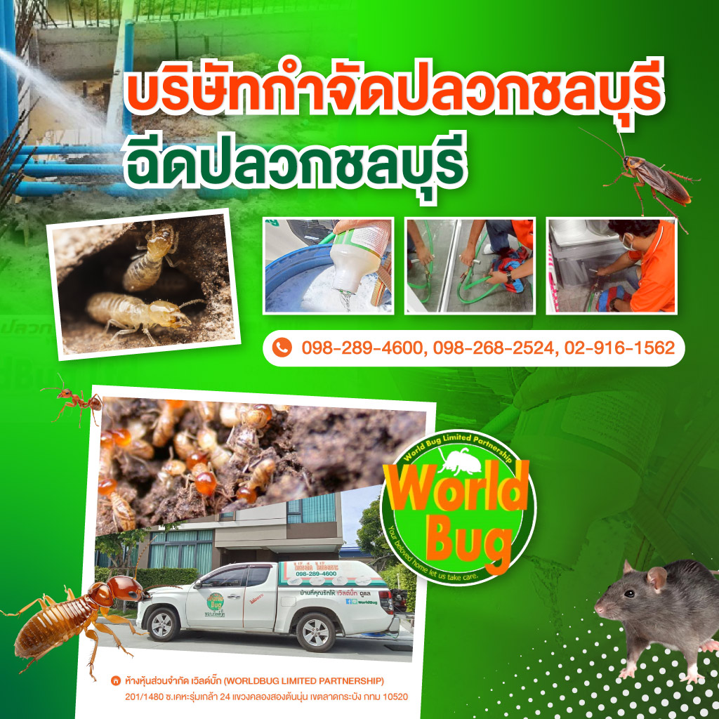 บริษัทกำจัดปลวกชลบุรี-ฉีดปลวกชลบุรี-เวิลด์บั๊ก