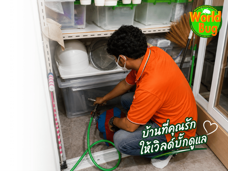 บริษัทกำจัดปลวก
